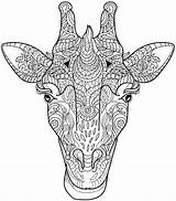 Coloring Pages Animal Adult Adults Giraffe Animals Mandala Colouring Printable Color Head Books Henna Sheets Book Getcolorings Kids Print Mandalas sketch template