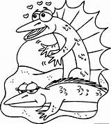 Coloring Toad Pages Drawing Getdrawings Printable Lizards 1024 sketch template