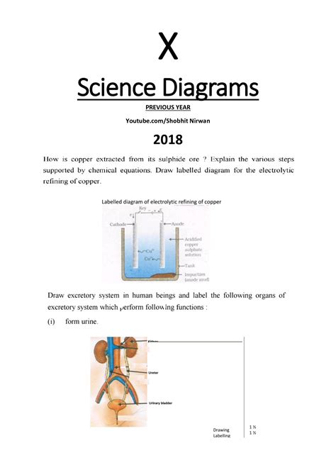 solution class  science diagrams studypool