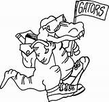 Coloring Gators Florida Pages Printable Library Comments Clipart Coloringhome sketch template