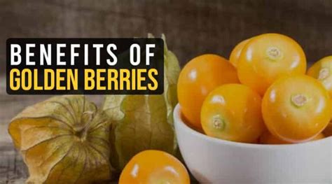top 8 benefits of golden berries and side effects healthtostyle