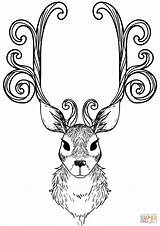 Reindeer Coloring Christmas Pages Drawing Deer Animal Printable Braid Antlers Clipart Raindeer Ipad Colorings Clipartmag Face Tutorial Getdrawings Vector Silhouette sketch template