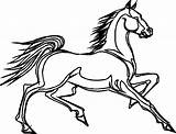 Cavalli Caballos Caballo Chevaux Cheval Coloriage Animales Cavallo Animaux 2265 Konji Konja Crtež Figuras Bonbons Pedeset Dibujo Bojanke Stampare Licorne sketch template