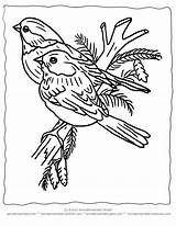 Coloring Winter Pages Printable Bird Christmas Color Birds Kids Wildlife Sheets Adult Activities Clipart Book Print Resources Colouring Sheet Wonderweirded sketch template