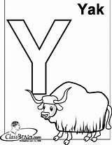 Coloring Yak Clipart Webstockreview Submited Pages sketch template