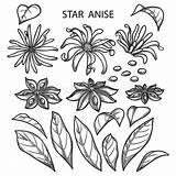 Anise Adults sketch template