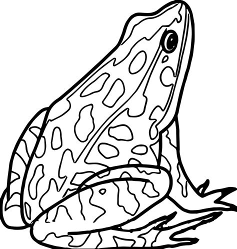 amphibians coloring pages printable everett parsons coloring pages