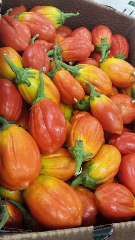 market report clemons produce has fresh rambutans neon eggplant blogs