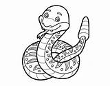 Coloring Rattlesnake Coloringcrew Animals sketch template