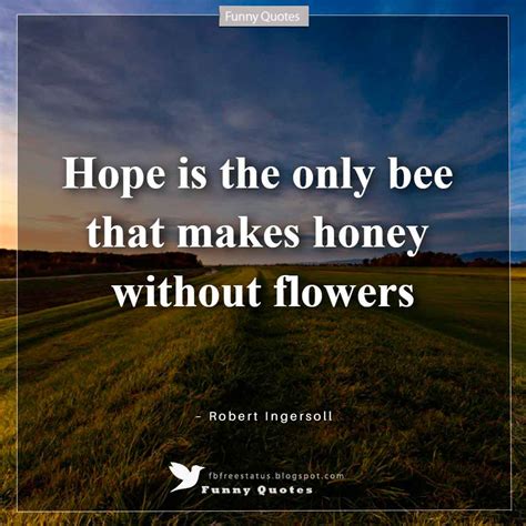 Hope Quotes And Hope Saying With Images And Pictures