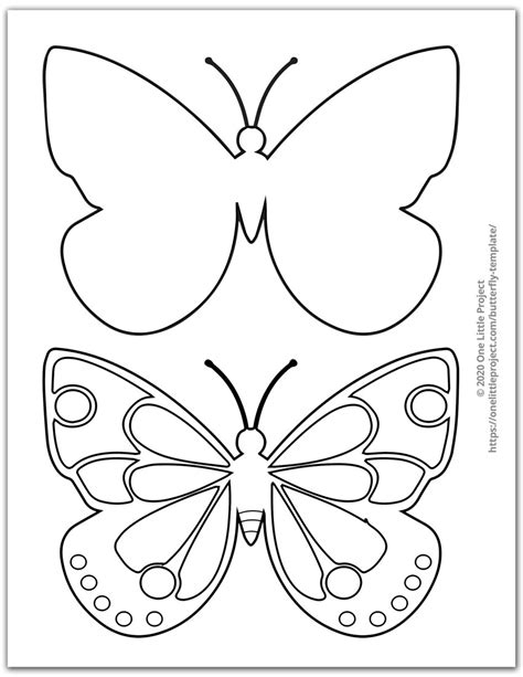 butterfly template  printable butterfly outlines   project