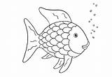 Coloring Fish Rainbow Swimmy Pages Template Regenbogenfisch Dl Downloads Worksheets Games Fun sketch template