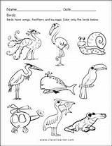 Birds Worksheets Preschool Science Kinds Preschools Bird Kids Worksheet Kindergarten Activity Types Nursery Animal Activities Air Land Water Cleverlearner Names sketch template