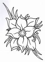 Tattoos Vikingtattoo Outlines Layola 433kb Colour sketch template