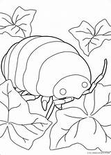 Arrietty Coloring Pages Disegni Coloring4free Printable Borrower Desenhos Book Info Related Posts Desenho sketch template