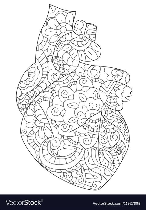 heart coloring pages anatomy anatomy coloring book coloring books