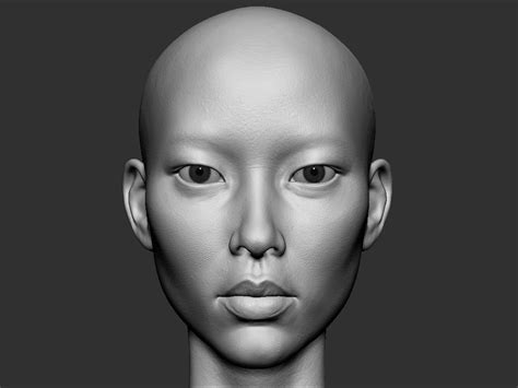Realistic Female Asian Head 3d Model Concept Art Characters