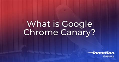 google chrome canary   chrome canary inmotion hosting