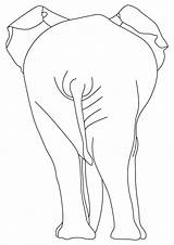 Elephant Back Coloring sketch template