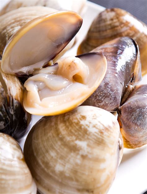 ingredient clams atrecipeland