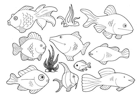fresh water animals coloring pages coloring book  coloring pages