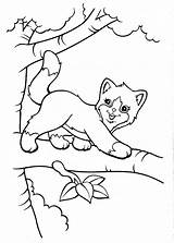 Katze Ausmalbilder Ausmalbild Colorare Kitty Kostenlos Sheets Malvorlagen Katzen Ausmalen Gatto Gatti Coloringhome Shopkins sketch template