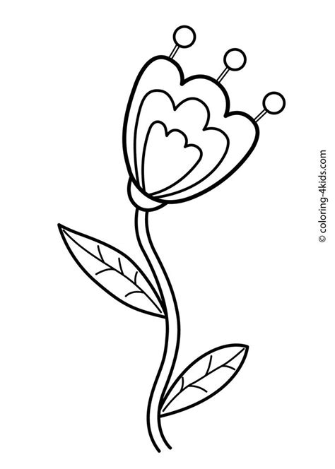 images  flowers coloring pages  pinterest