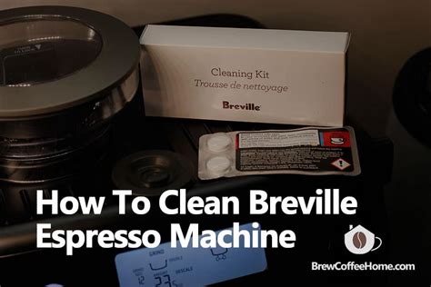 clean breville espresso machine descale  backflush guides