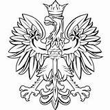 Polish Eagle Drawing Vector Arms Coat Tattoo Clipart Clipartbest Newdesign Clip Via sketch template