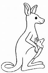 Kangourou Colorat Kangourous Kangaroo Cangur Canguri Kangaroos Canguros Planse Animale P05 Canguru Coloriages Mamíferos Partir Mamiferos Desene Primiiani Stampare Fisa sketch template