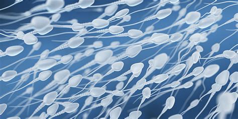 ingoiare lo sperma fa bene alla salute roba da donne