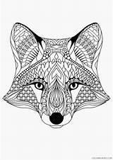 Coloring4free Coloring Adult Pages Fox Head Related Posts sketch template