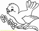 Burung Mewarnai Paud Bermanfaat Kepada Jiwa Seni Kreatifitas Meningkatkan Semoga sketch template