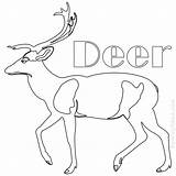 Deer Coloring Pages Antler Printable Color Getcolorings Getdrawings sketch template