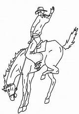 Bronc Rodeo Bucking Adult Bulls Coloringsun sketch template