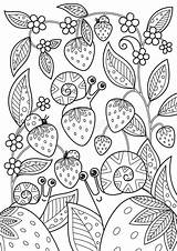 Coloring Snails Ladybugs Strawberries Antistress sketch template