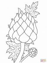 Artichoke Coloring Pages Magnolia Flower Vegetables Kids Printable Color Getcolorings Coloringbay Drawing Campbells sketch template