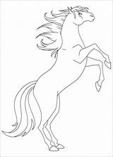 Kolorowanki Lenas Leny Ranczo Mistral Darmowe Cheval Pferde Colorear Ausmalen Coloriez Chevaux Zeichnen Malowanki Kolorowania Obrazki Ugu sketch template