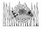 Zentangle Fish Coloring Adult Tropical Pages Favecrafts Colouring Choose Board sketch template