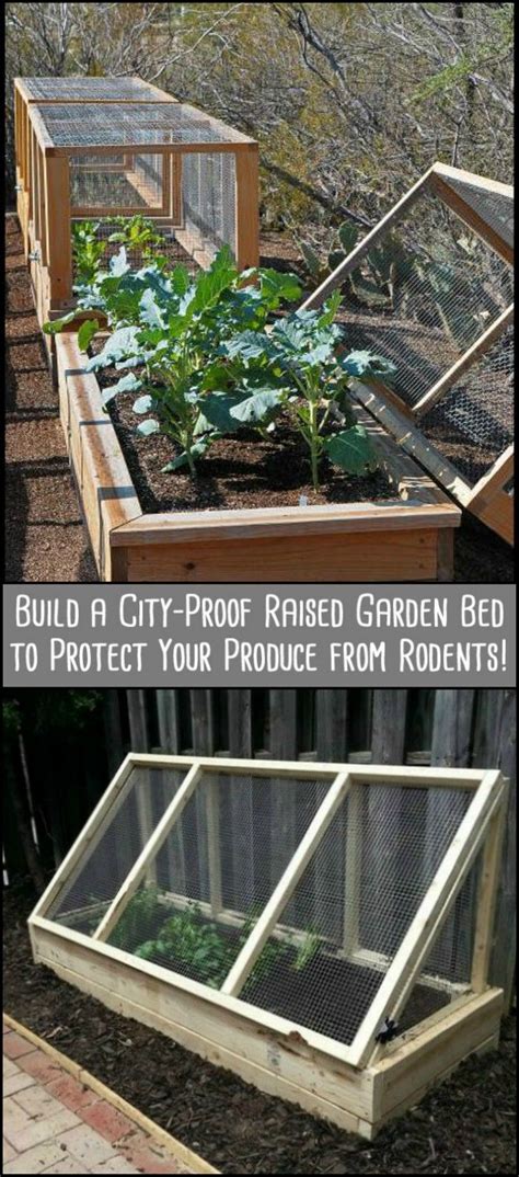 protect  produce  rodents  building  city proof raised