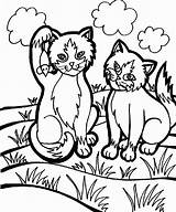 Coloring Cat Pages Color Animal Printable Year Old Girls Animals Print Iriomote Kids Sheet Kitty Cats Kitten Adults Clipart Fun sketch template