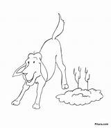 Animals Domestic Coloring Pages Dog Pitara sketch template