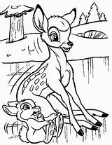 Bambi Tambor Dibujo Botón Izquierdo Duro Pincha sketch template