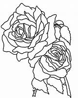 Coloring Roses Pages Rose Flower Two Single Realistic Printable Drawing Skull Stem Mandala Cross Long Bunch Color Flowers Skulls Getcolorings sketch template
