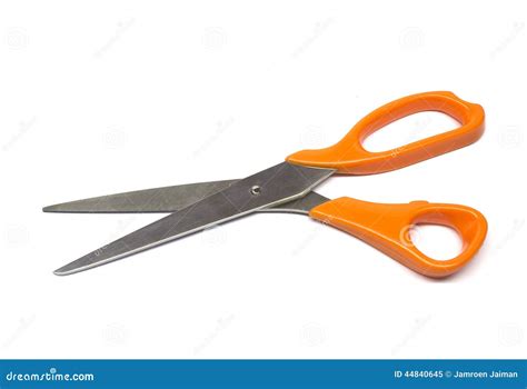 scissors  white background stock photo image