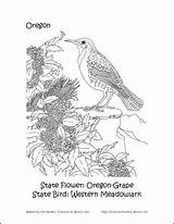 Coloring Pages National State Bird Crater Lake Park Flower Tennis Wordsearch Oregon Road Trip 71kb 392px Puzzle Crossword Learning Fun sketch template