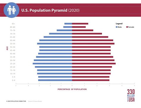 U S Population Pyramid Infographic Population Education