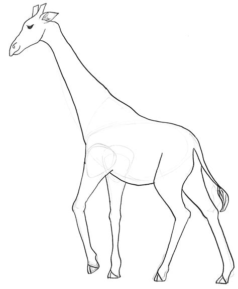giraffe  spots page coloring pages