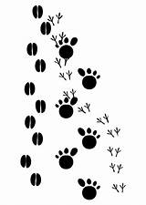 Tracks Animal Coloring Printable Large Traces Pages Dessin sketch template