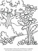 Coloring Trees Pages Flowers Plants Color Getcolorings Printable sketch template